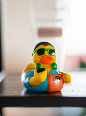 IT+S Ente